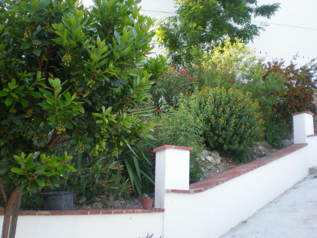Apartamentos Rurales El Canuelo De Carcabuey Стая снимка