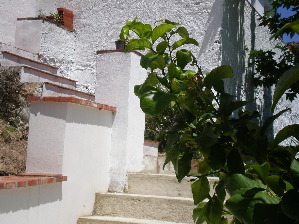 Apartamentos Rurales El Canuelo De Carcabuey Стая снимка